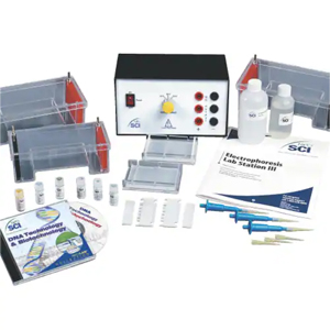Electrophoresis Lab Station III